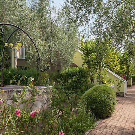 Residence Villa Le Macine 维耶斯泰 外观 照片